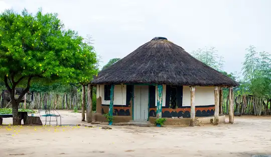 Street food preparation